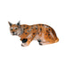 Longlife_Liegender_Luchs_1