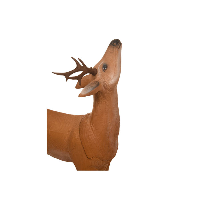 Longlife_Rehbock_2