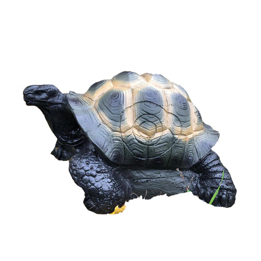 3D Target | Franzbogen - Landschildkröte Franzbogen