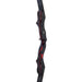 Spiderbows_Raven_2_2