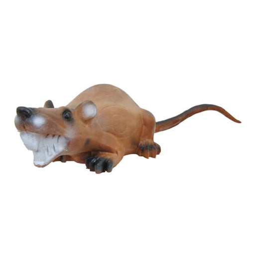Longlife liegende Ratte