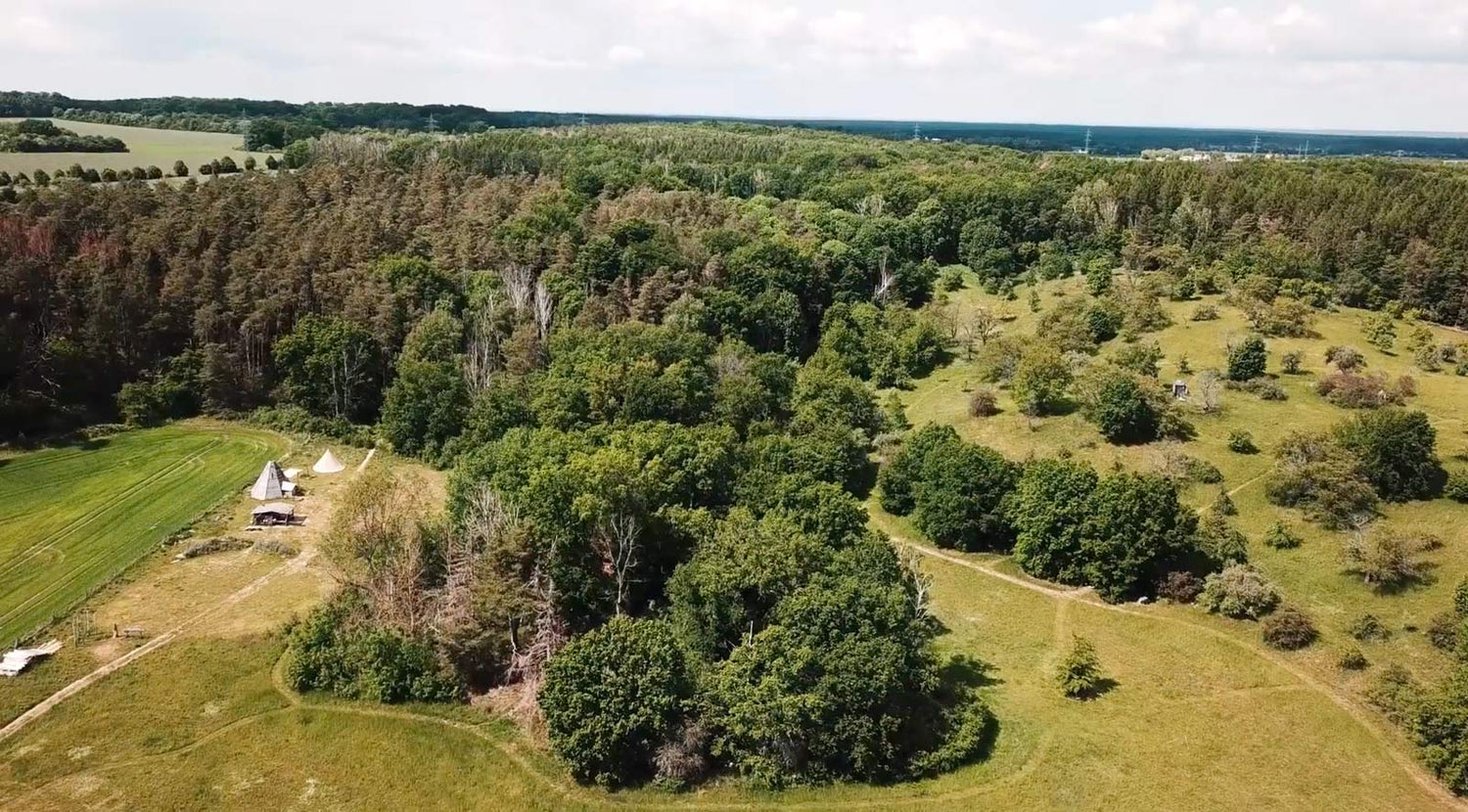 Bogentag an der Wildnisschule Hoher Fläming - 31.8.2026