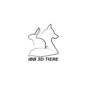 IBB 3D